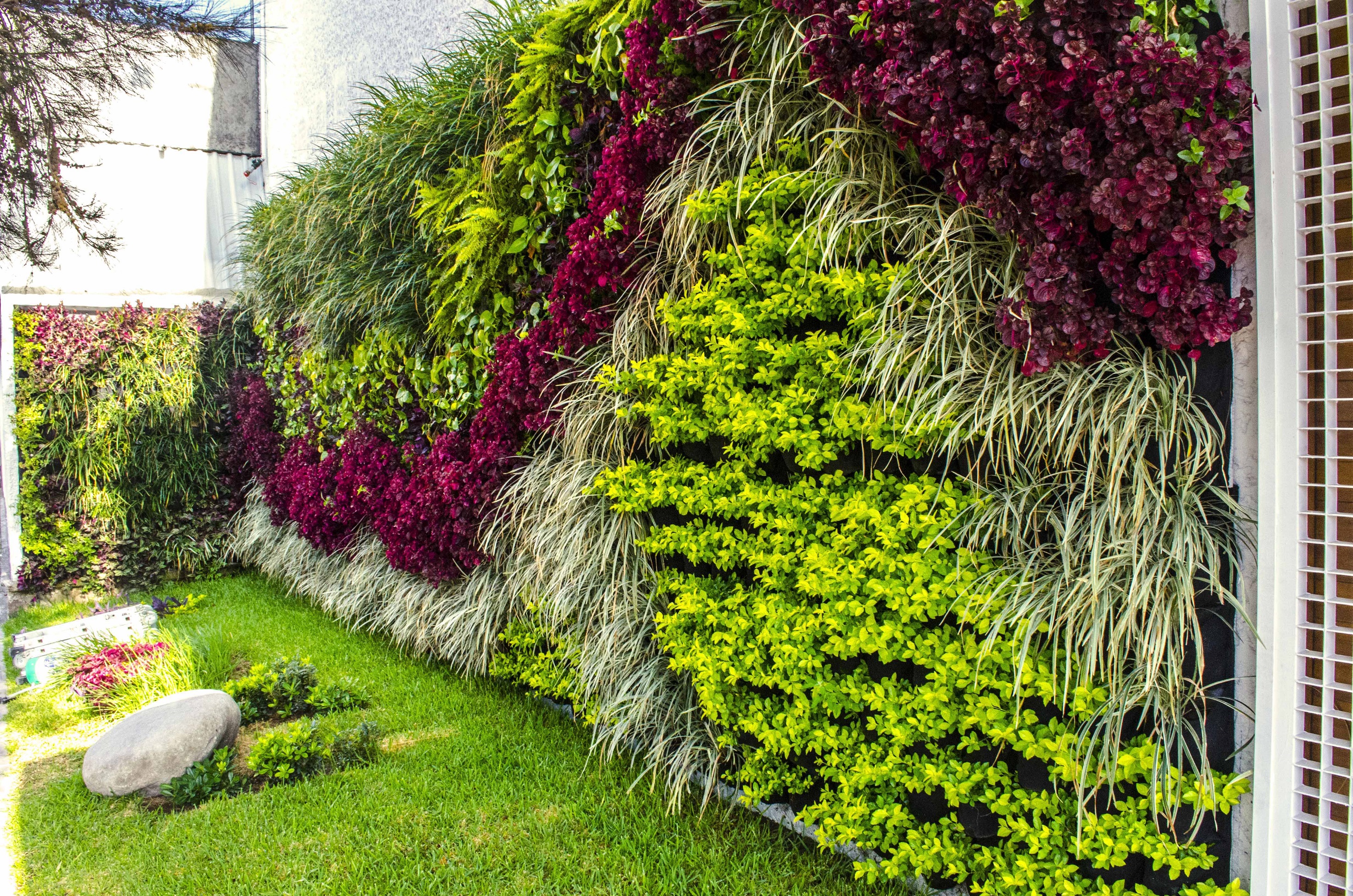 Jardines Verticales: la opción ideal para tener un jardín en espacios  reducidos - Jardín de la Costa